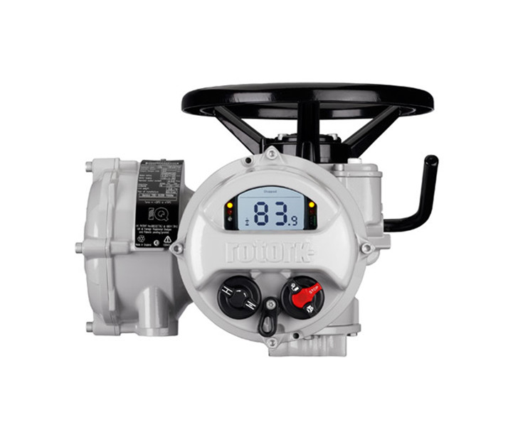 羅托克電動執行器的IQ設定工具有什么作用？是否好用？