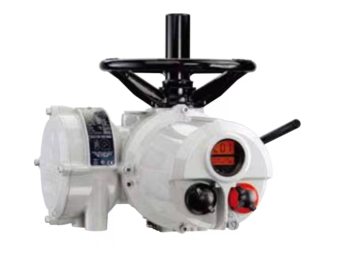 羅托克電動執行器顯示器是否高清？能切換中文嗎？